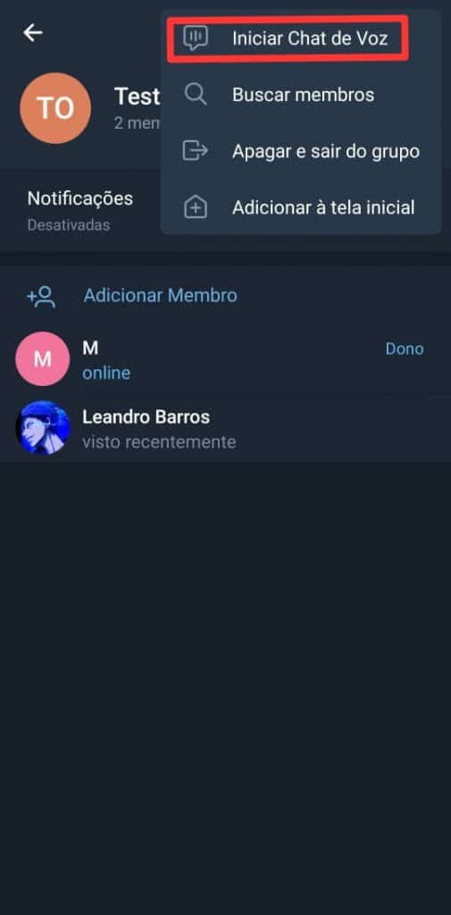 Print dos chats de voz do Telegram