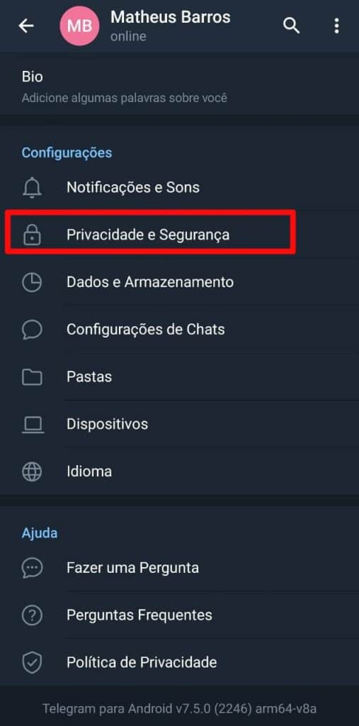 Print do Telegram