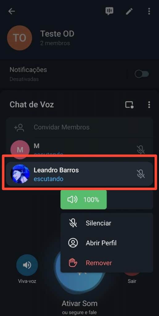 Print dos chats de voz do Telegram