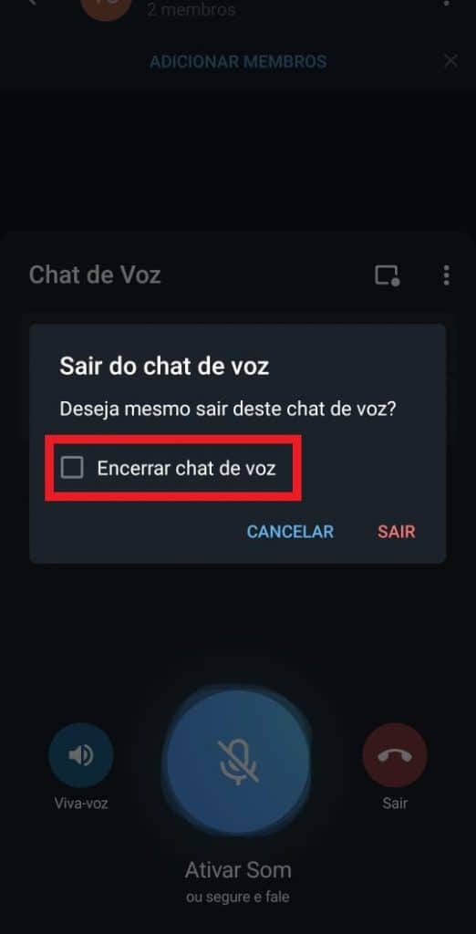 Print dos chats de voz do Telegram