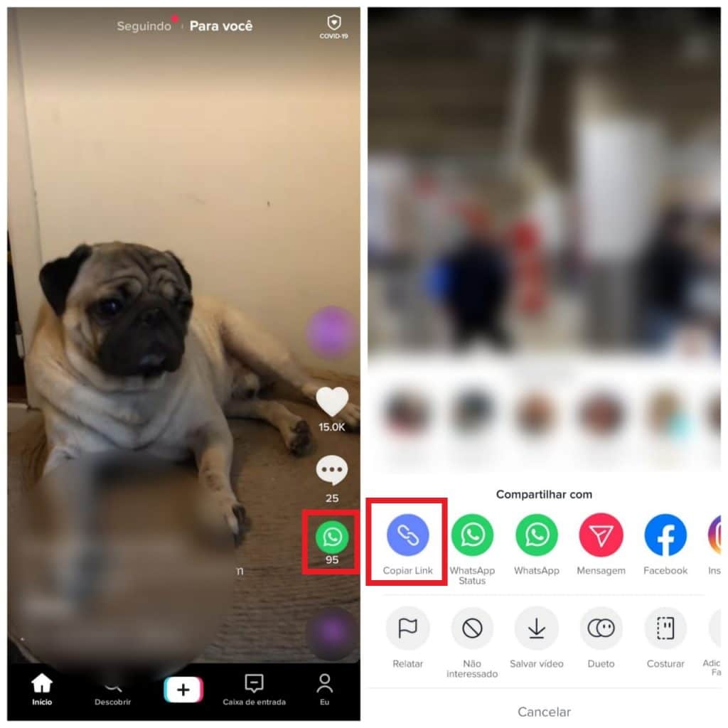 Print do TikTok