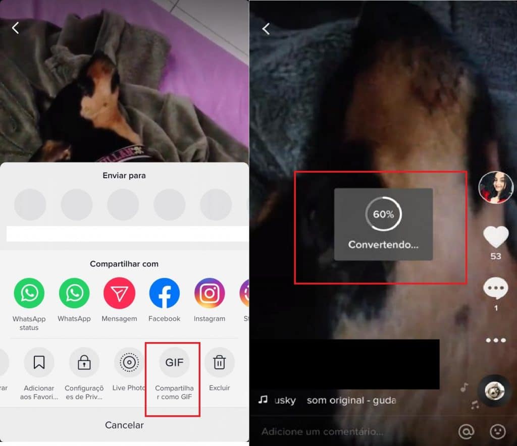 Como converter um vídeo do TikTok em GIF. Imagem: Olhar Digital