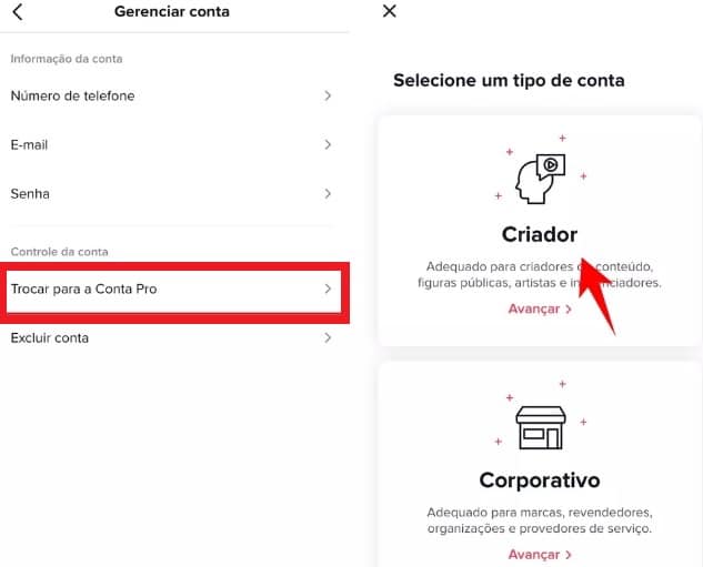 Como mudar sua conta para versão Pro. Imagem: Reprodução