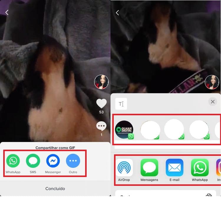 Como converter um vídeo do TikTok em GIF. Imagem: Olhar Digital