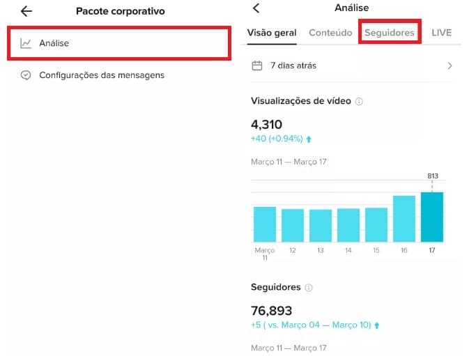 Como consultar o melhor horário para postar no TikTok. Imagem: Reprodução