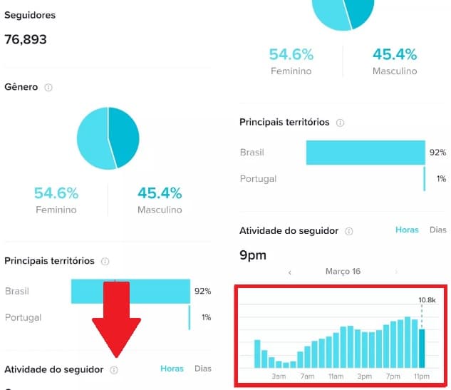 Como consultar o melhor horário para postar no TikTok. Imagem: Reprodução
