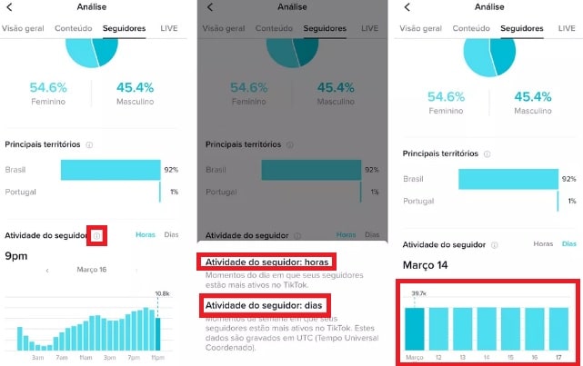Como consultar o melhor horário para postar no TikTok. Imagem: Reprodução