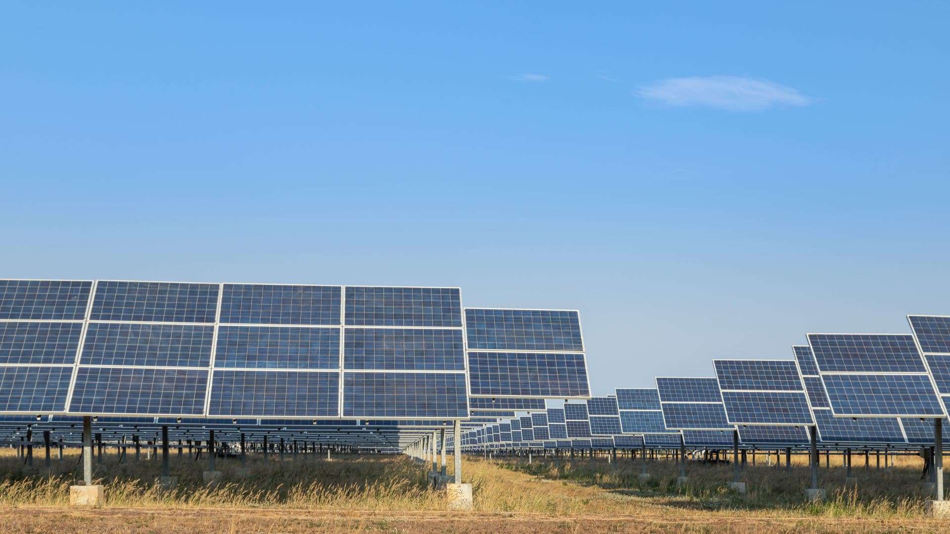Usina solar. Imagem: Shutterstock