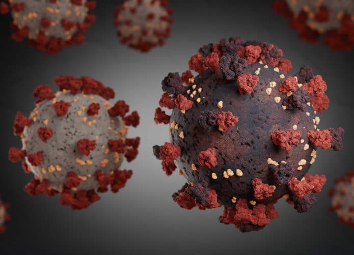 Variantes-do-coronavirus-695x500