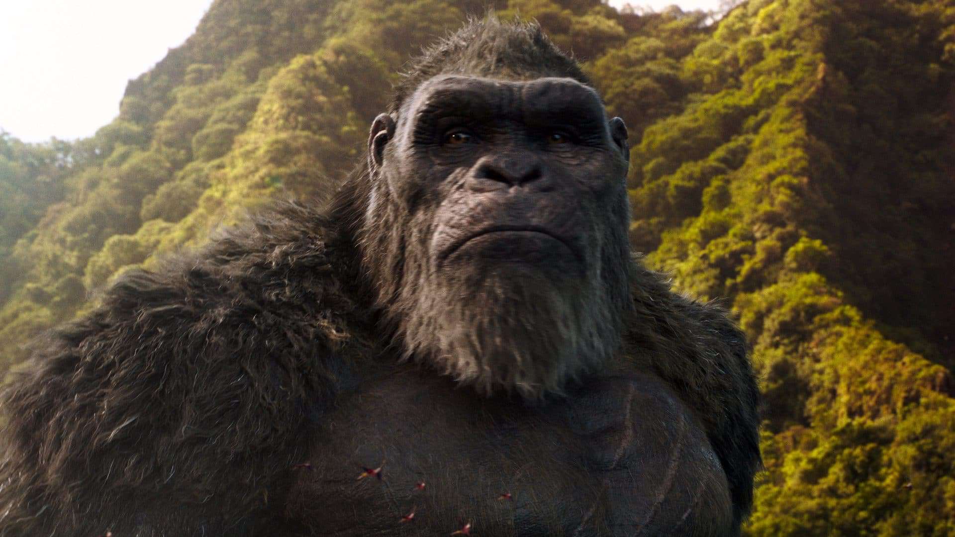 GODZILLA VS. KONG