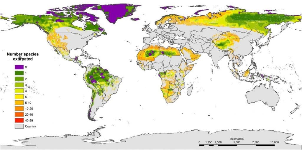 Apenas 3% do ecossistema da Terra está intacto (em roxo). Imagem: Reprodução/ Artigo Fronteiras em Florestas e Mudanças Globais 2021 
