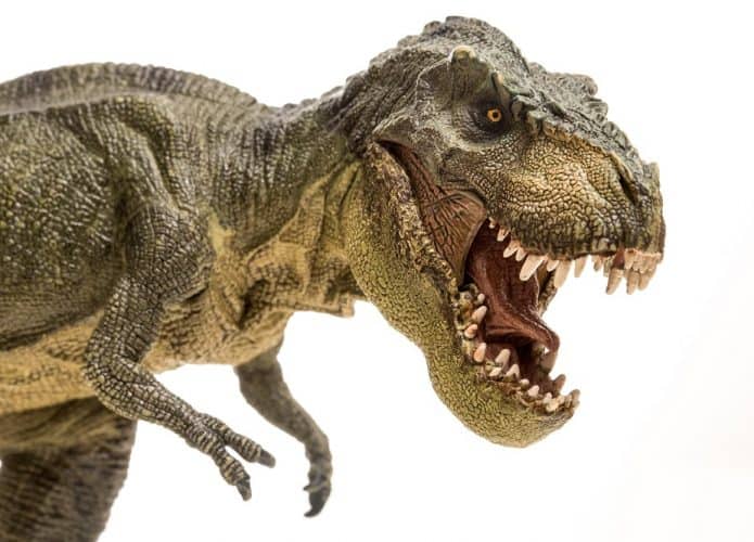 Tiranossauro Rex