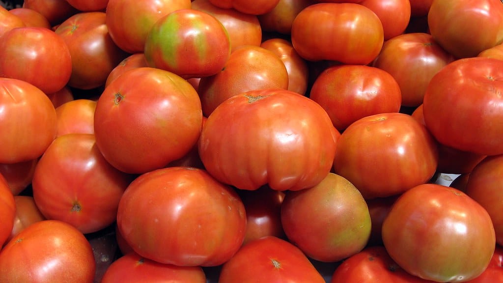 Tomates