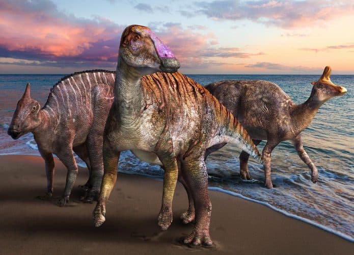 Três dinossauros de bico de pato
