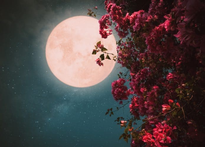 iStock-1173074943-695x500