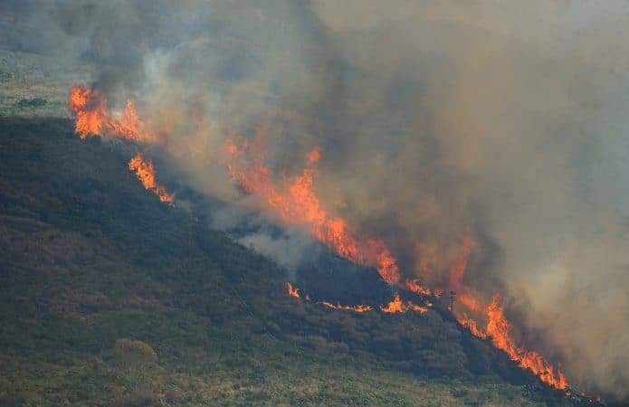 incEndio-florestal-fernando-frazao-agencia-brasil-695x450