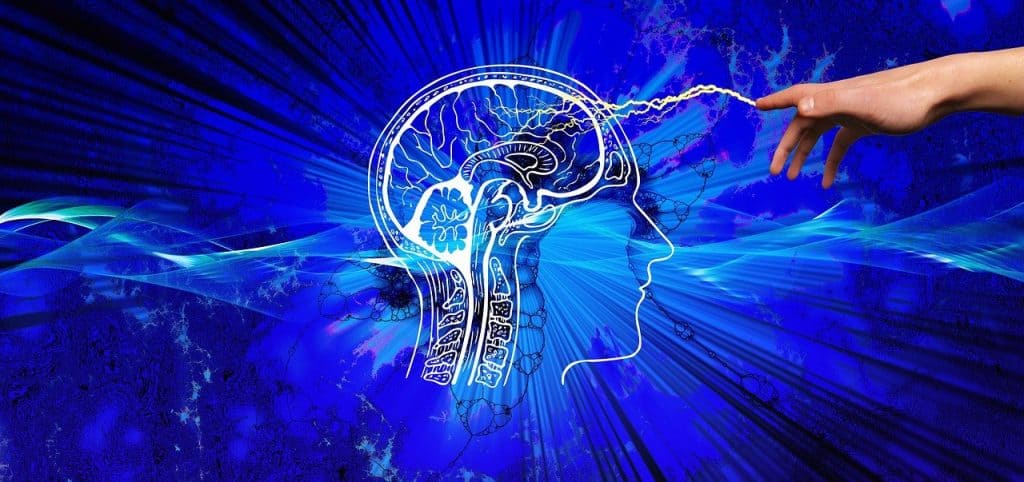 Cientistas criam ferramenta para analisar informações do cérebro de crianças e bebês