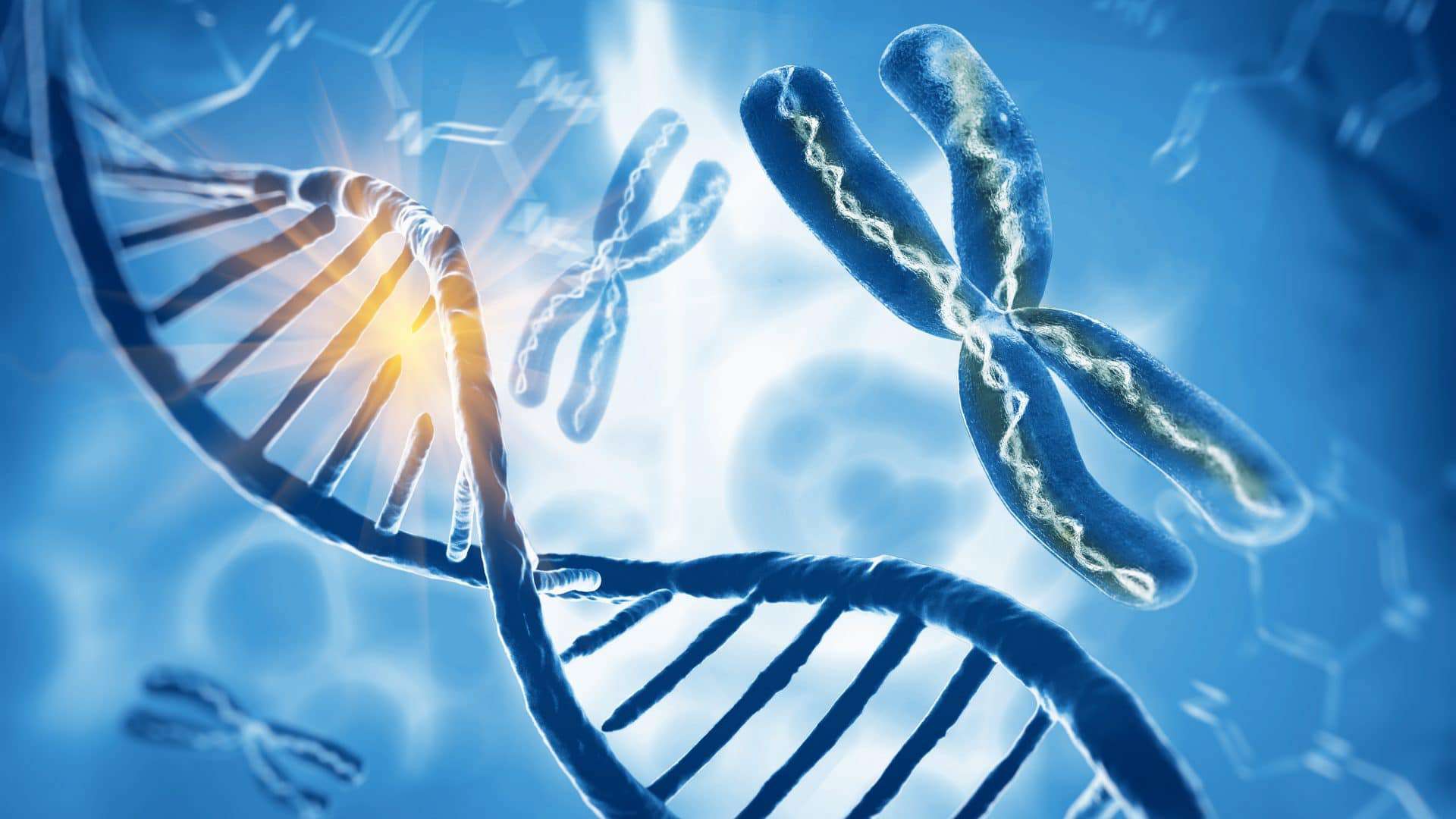 shutterstock_1009880539-1920x1080