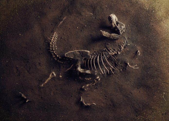 shutterstock_1542671345-695x500
