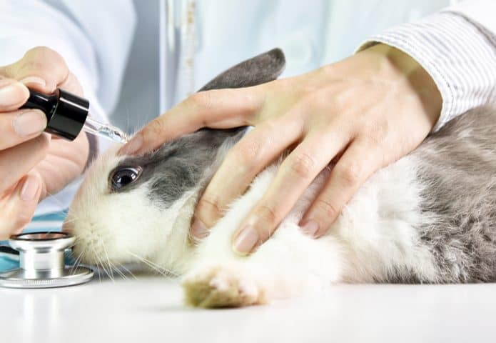 shutterstock_776755318-695x480