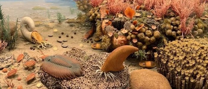 trilobitas