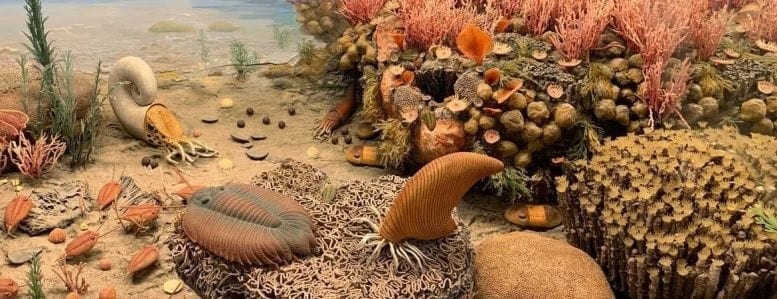 trilobitas