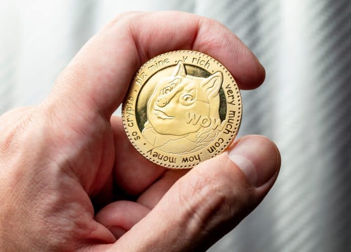 Dogecoin-3-695x500