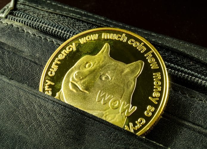 Dogecoin-695x500