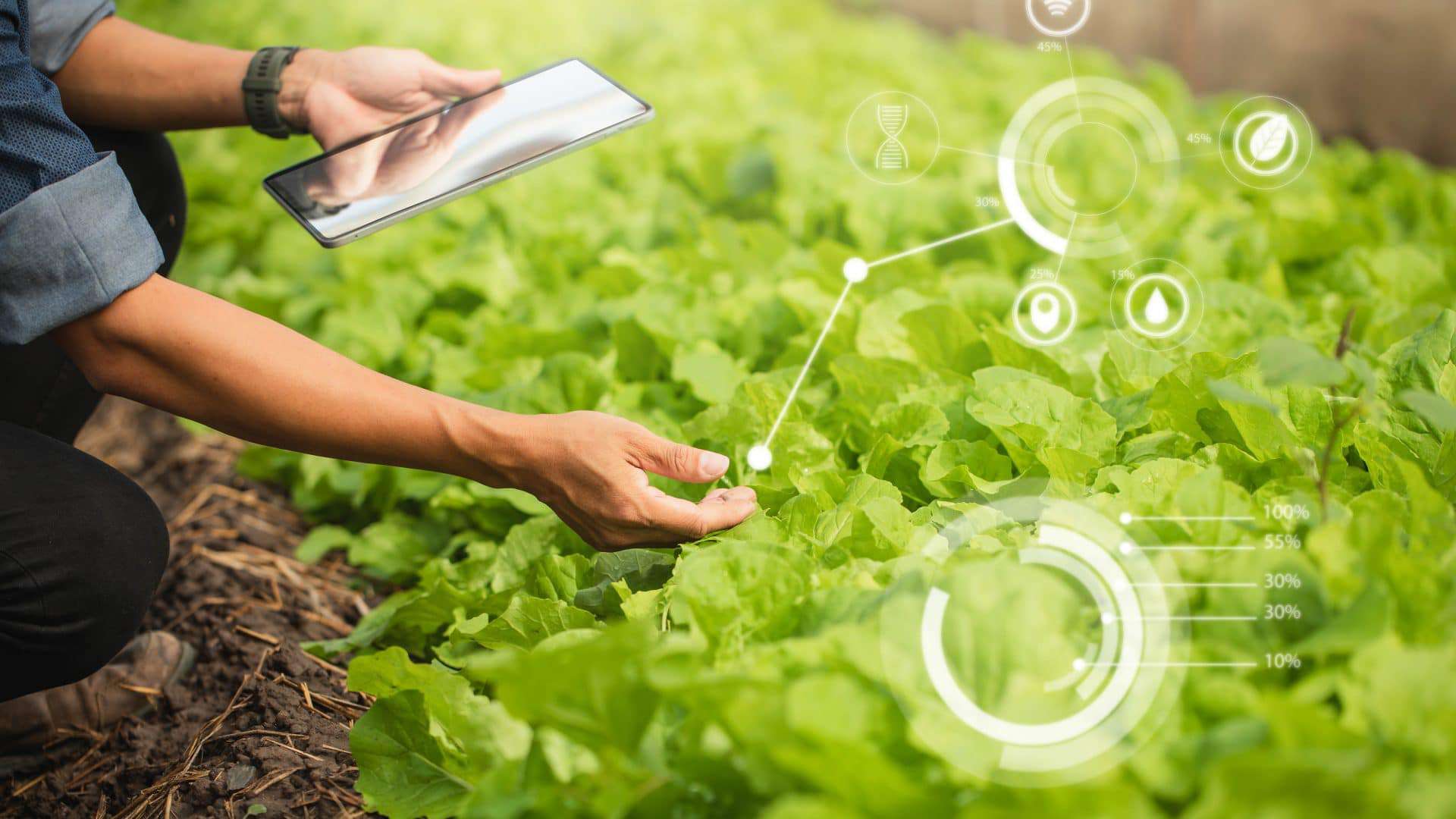 Internet-agropecuaria-1920x1080