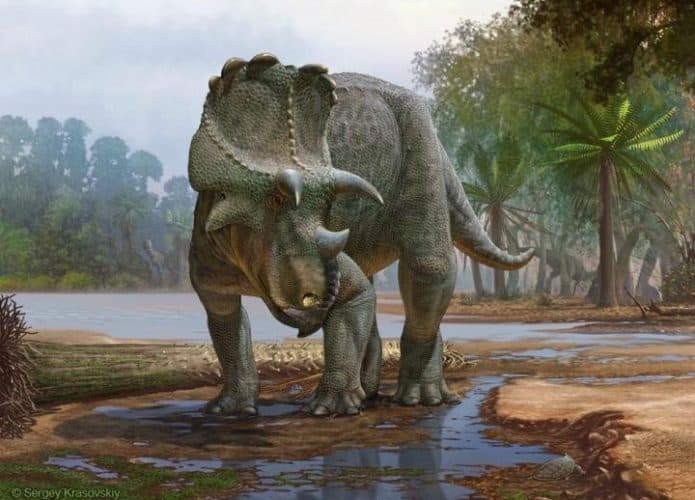 Menefeeceratops-sealeyi-695x500
