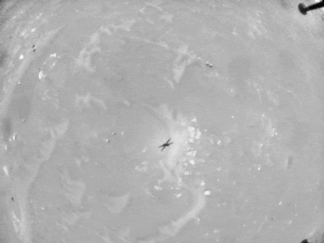 Detalhes do sexto voo do helicóptero da Nasa Ingenuity