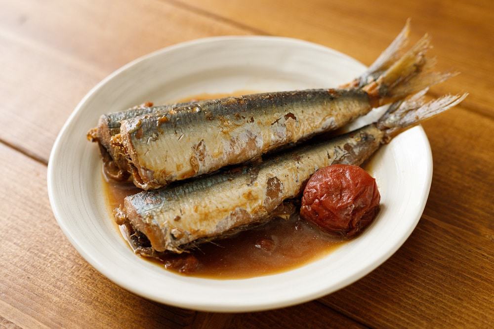 Sardinha. Imagem; Shutterstok