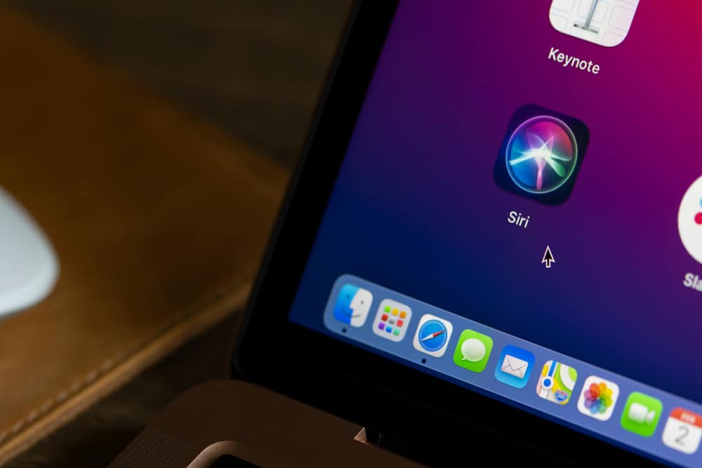 Logo da Siri