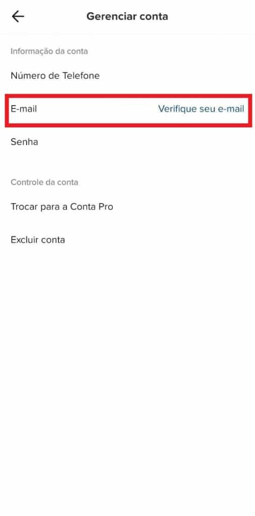 Print do aplicativo do TikTok