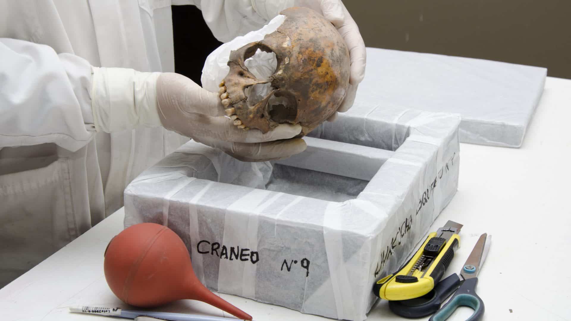 crânios humanos peru