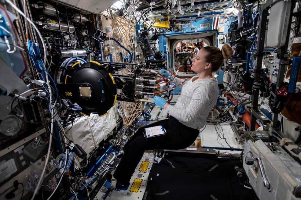 kate rubbins, astronauta, nasa, espaço