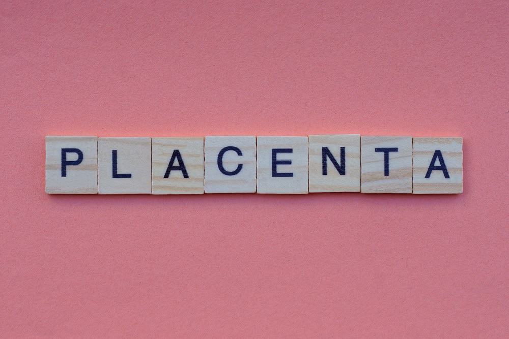 Placenta