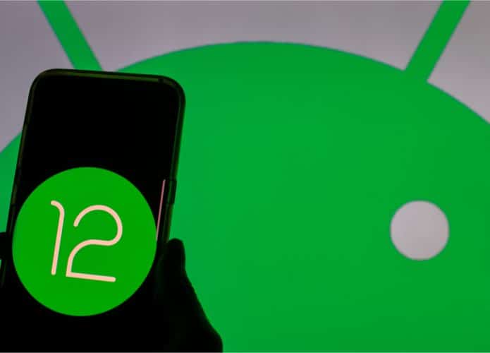 Android 12 (Imagem: Camilo Concha/Shutterstock)