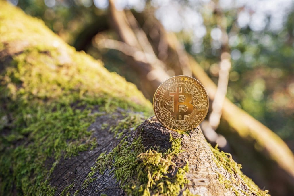 Ilustração de bitcoin no meio ambiente