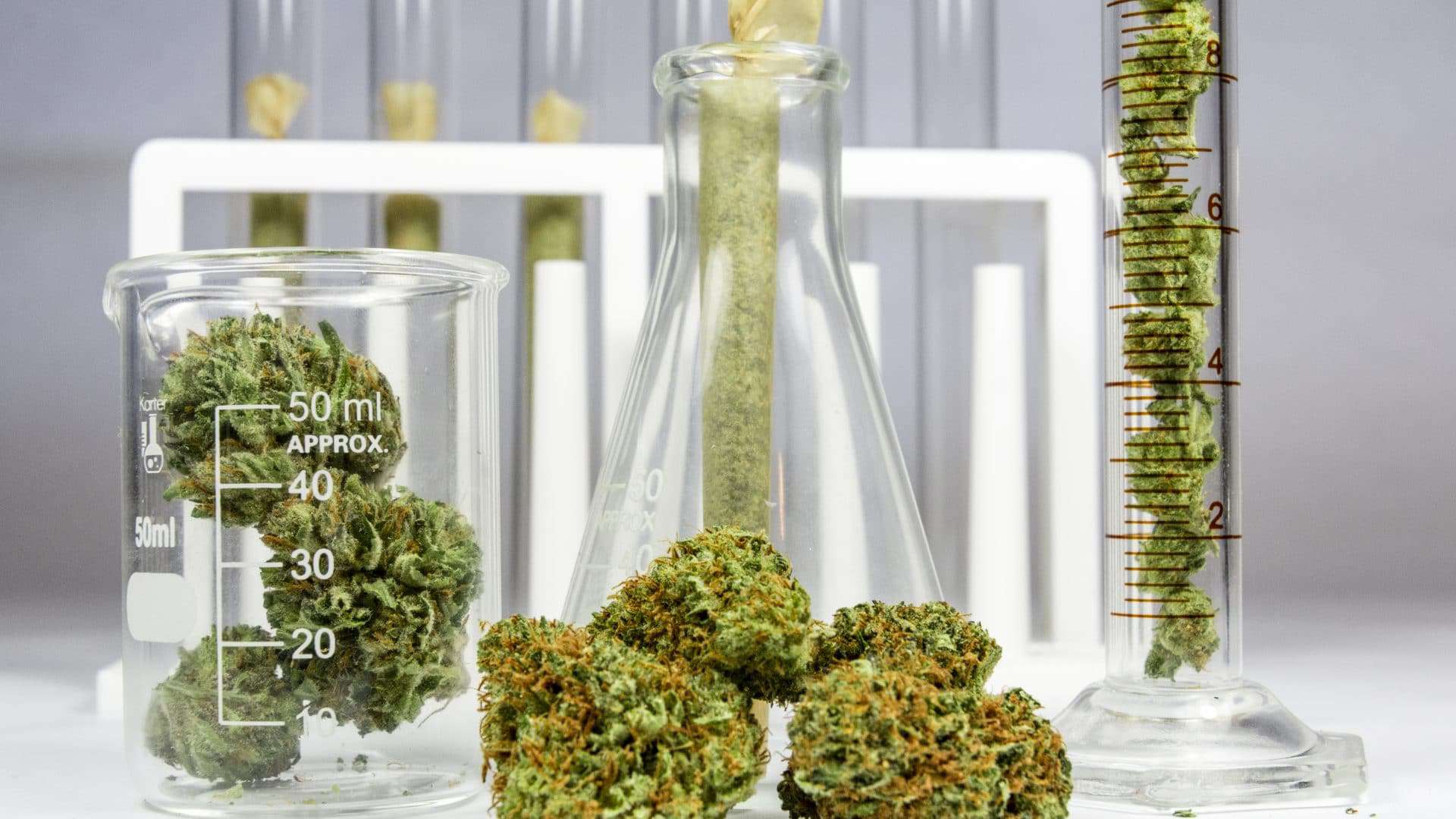 Cannabis-1920x1080