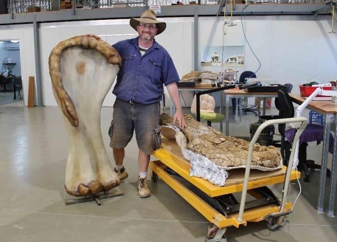 Dinossauro Australotitan cooperensis