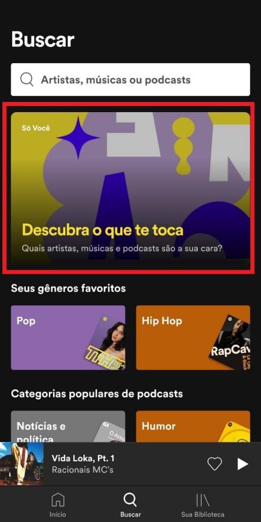 Print do Spotify