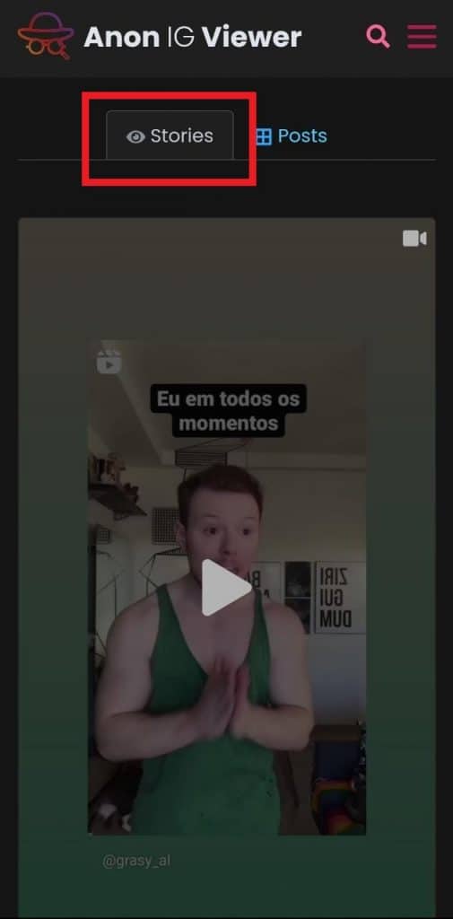 Print do site Anon IG Viewer