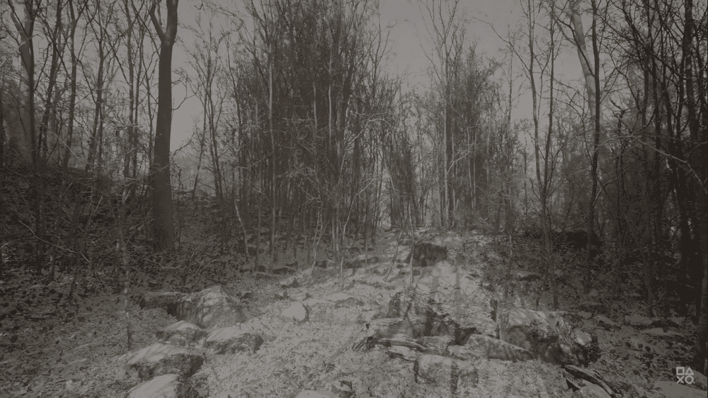abandoned