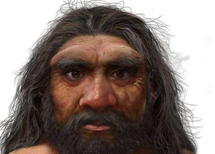 homo longi