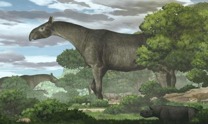 ilustracao-rinoceronte-gigante-695x415.png