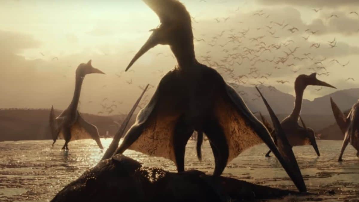 Espécies entram em confronto no primeiro teaser de 'Jurassic World 3: Dominion'. Imagem: Universal Pictures/Reprodução