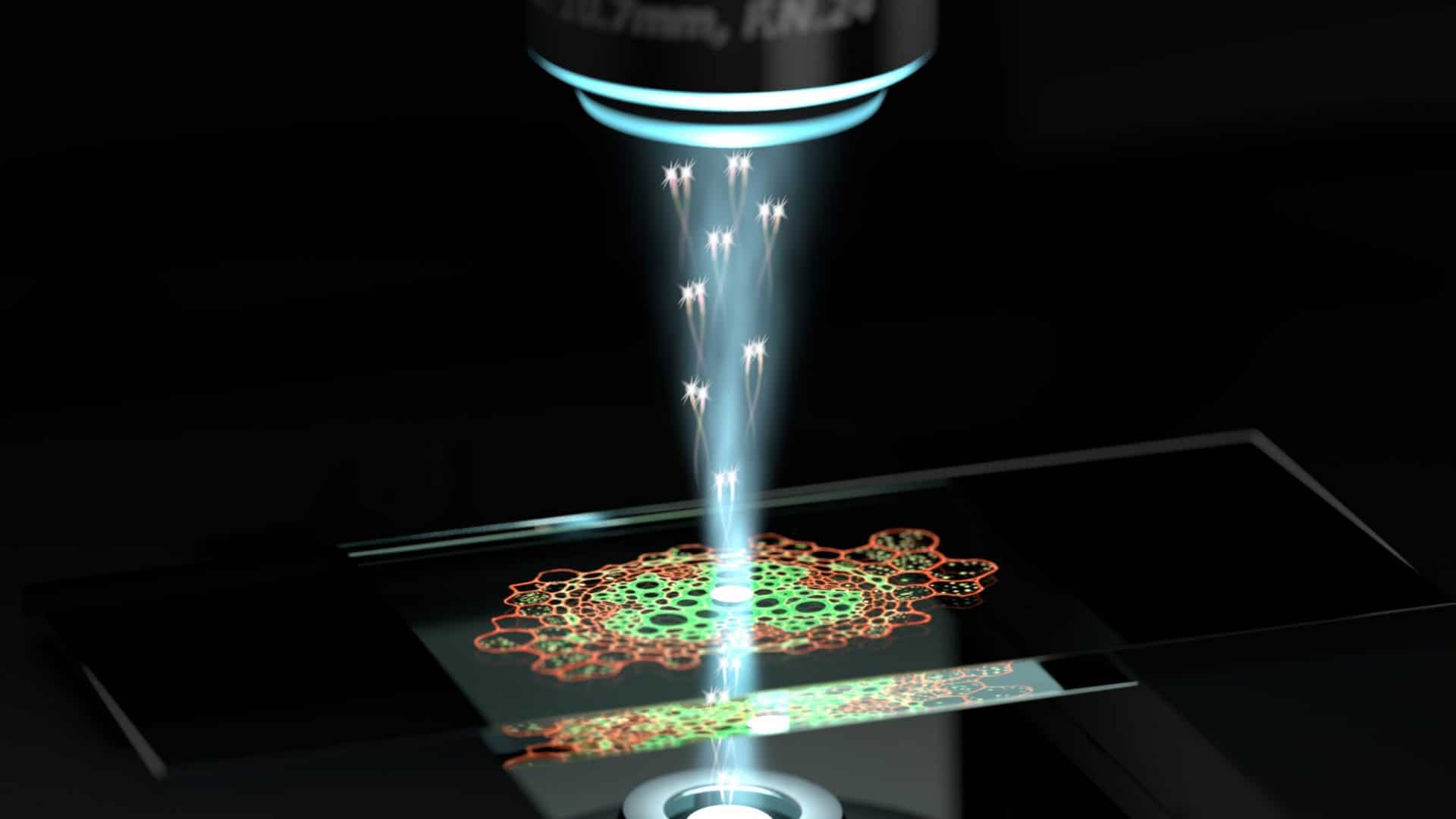 microscópico quântico universidade de queensland