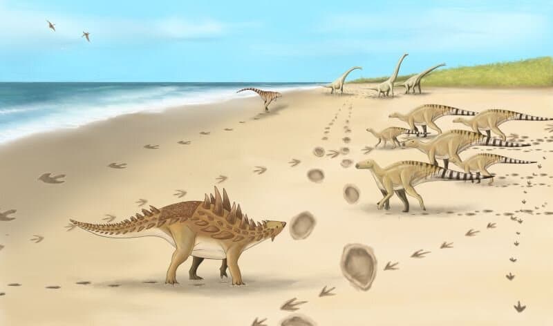 pegadas-de-dinossauros