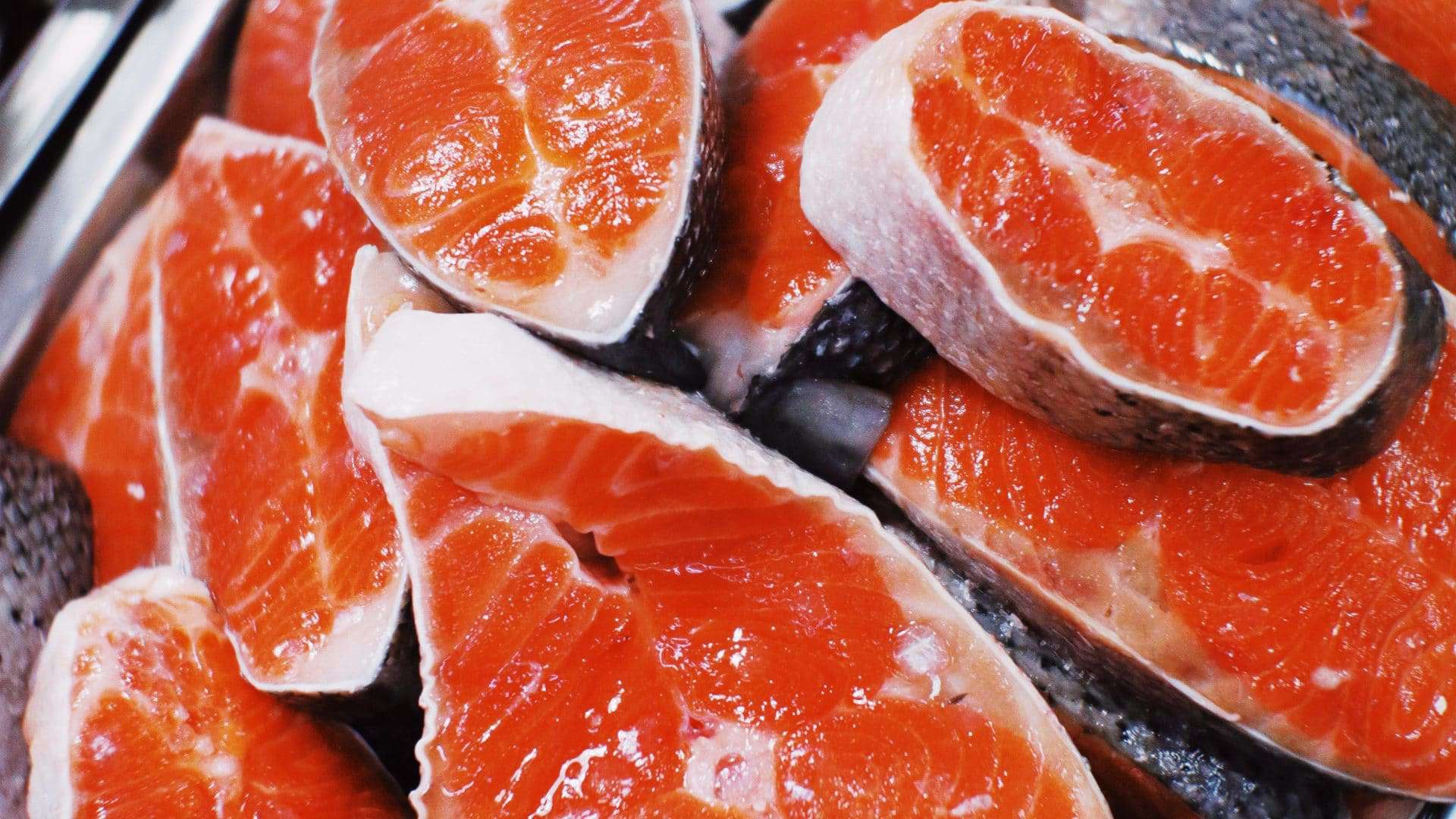 salmão